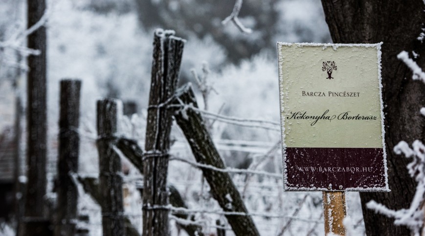 Somló hegyi borkóstolás 3 fő részére a Barcza Pincészetben