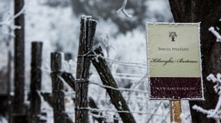 Somló hegyi borkóstolás 3 fő részére a Barcza Pincészetben
