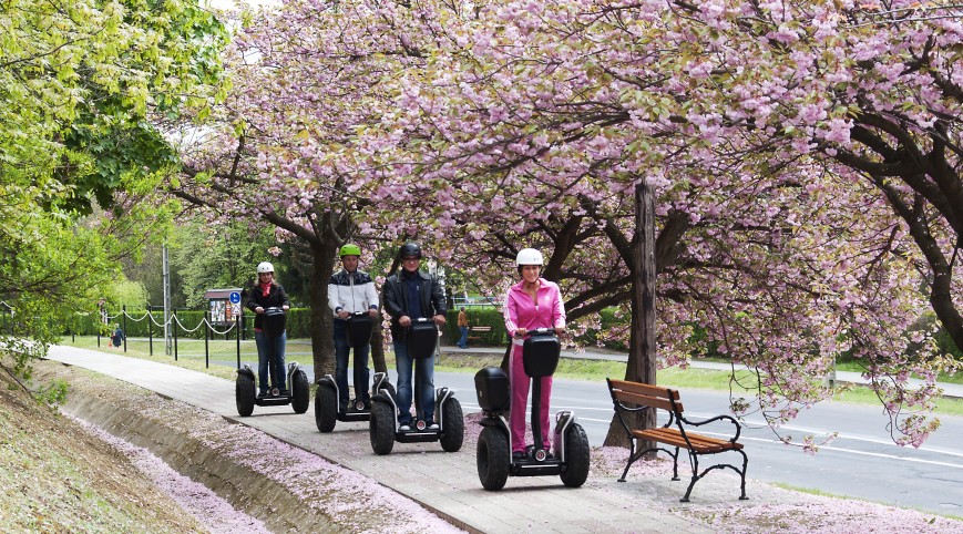 Segway Zalakaros-túra 1,5 óra 1 fő