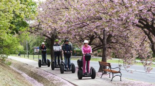Segway Zalakaros-túra 1,5 óra 1 fő